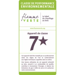 Poêle à Bois Domino Avec Pied -Chauffage Magasin poele a bois domino avec pied flamme verte 1