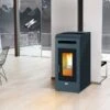 Poêle à Granulés Cayenne 2 Poêle à Granulés Cayenne -Chauffage Magasin poele a granules cayenne cayenne noir 4